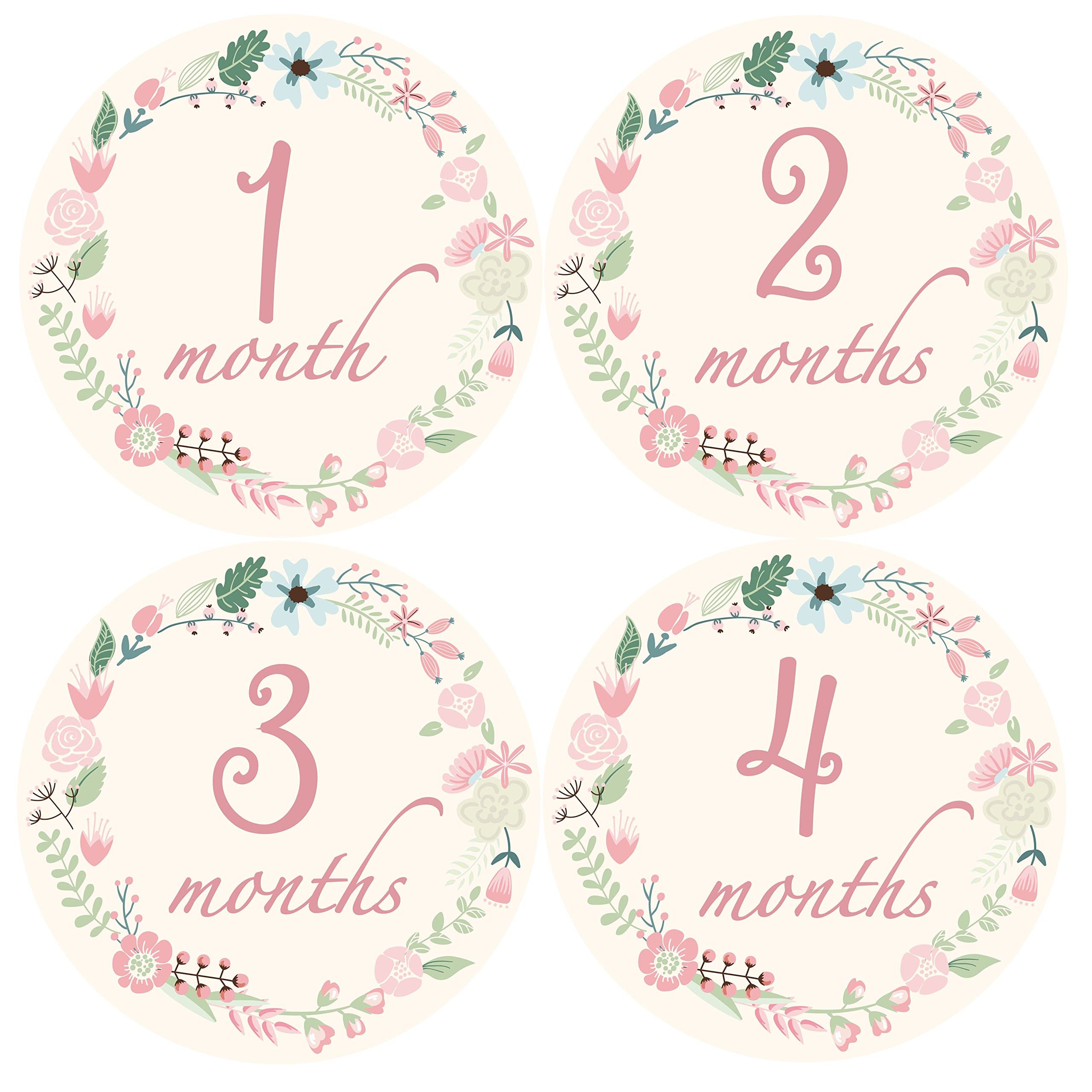 Monthly Baby Stickers